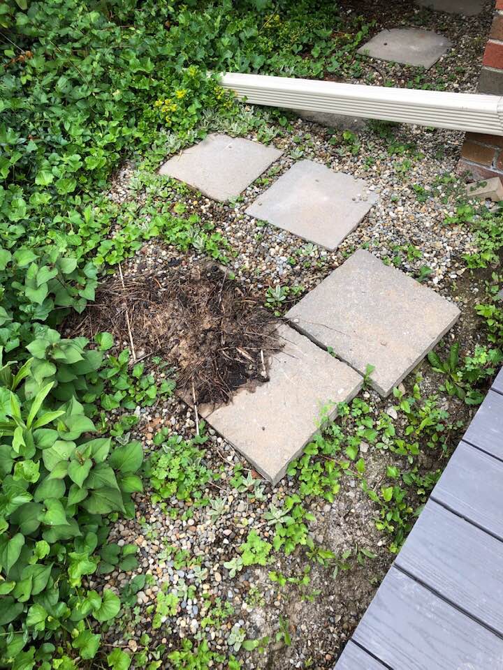 Best RE-construction Inc And Chimney Repair - Professional chimney cleaning and repair services in Toledo, Ohio