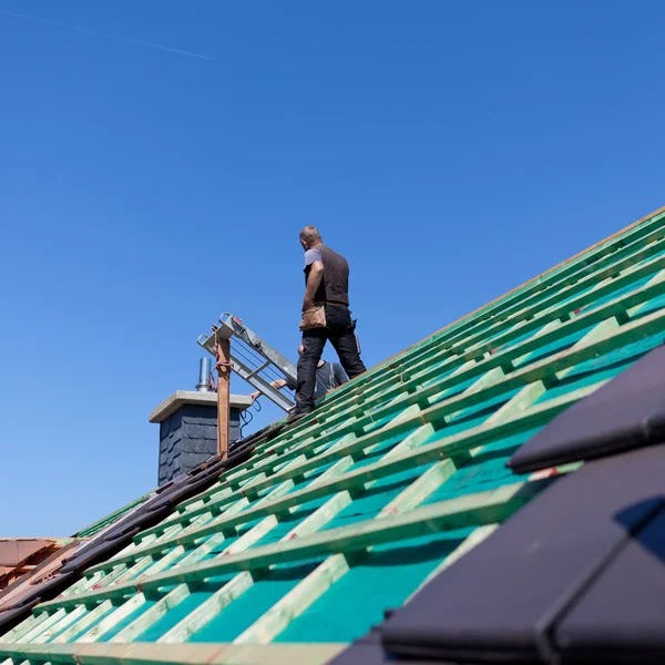 Biesterfield Chimney Sweeps Care - Professional chimney cleaning and repair services in Elk Grove Village, Illinois