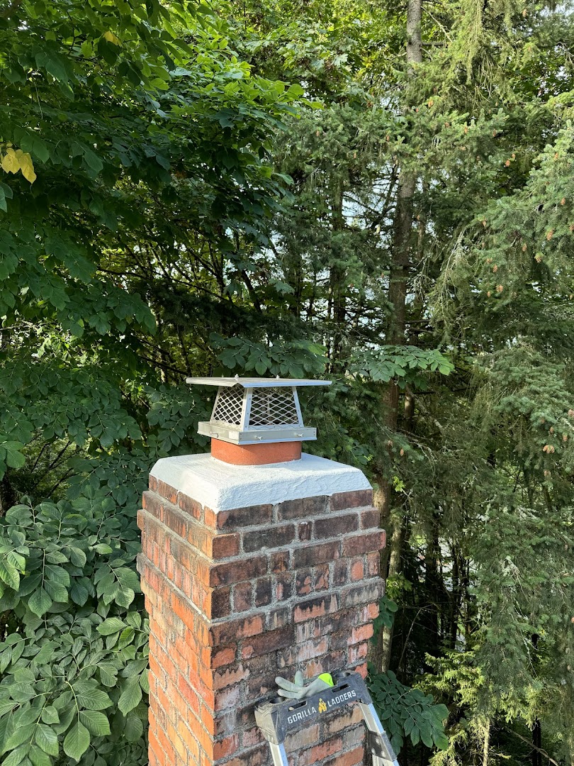 Chimneyz LLC - Professional chimney cleaning and repair services in Renton, Washington
