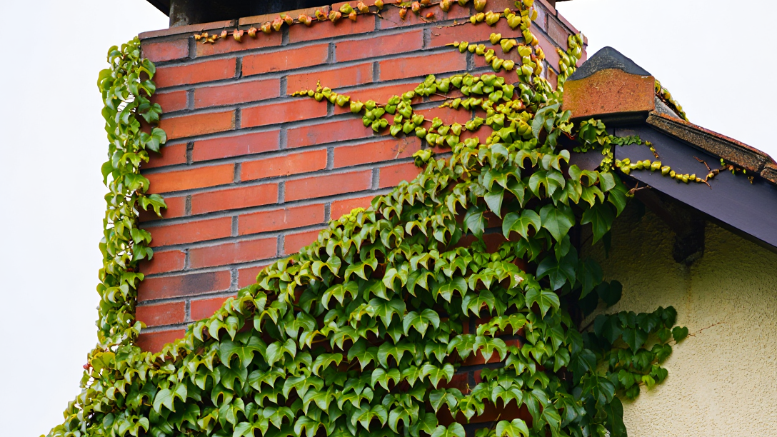 Deluxe Worcester Chimney Sweeps - Professional chimney cleaning and repair services in Worcester, Massachusetts
