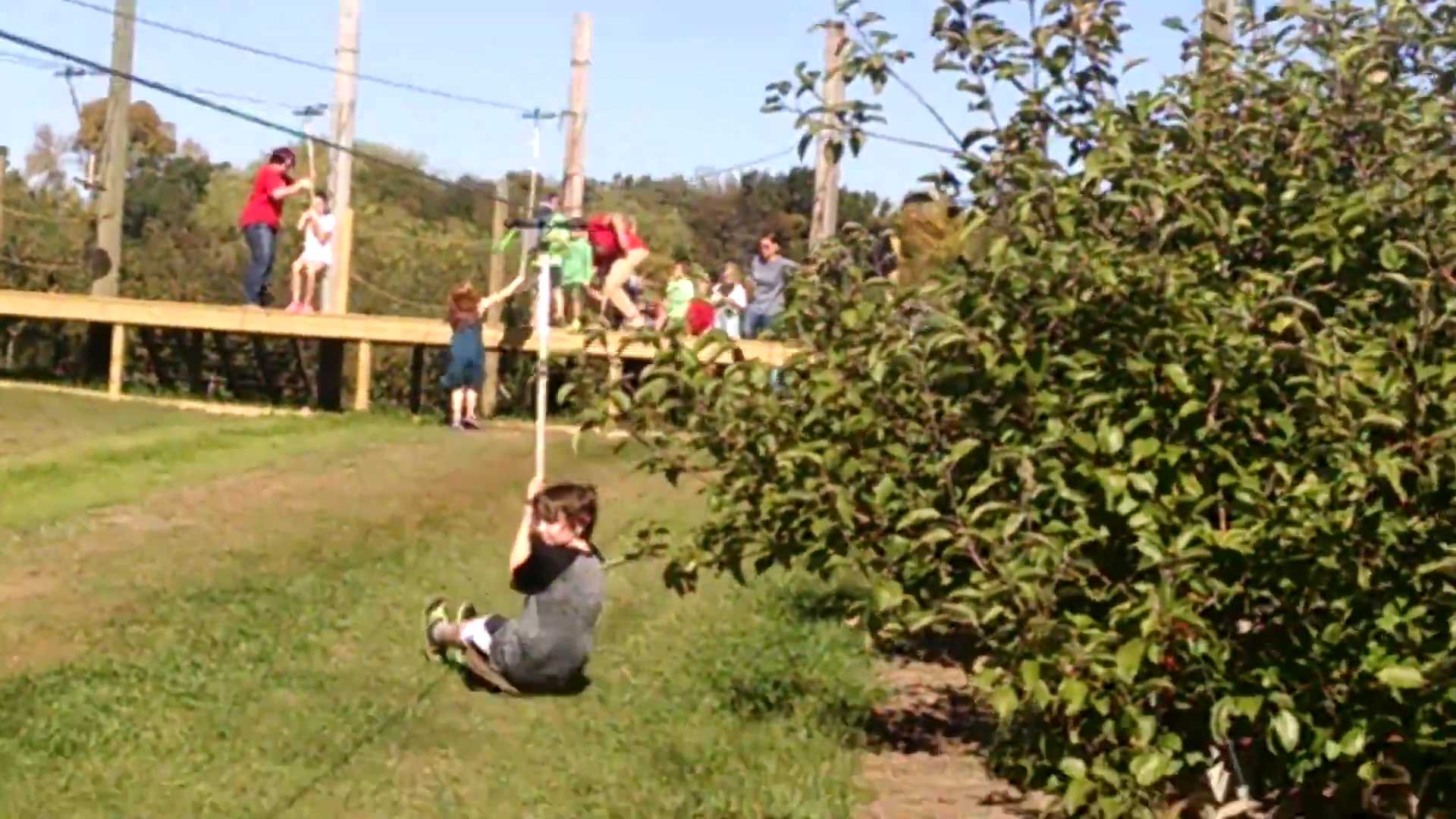 Fireplace Doctor - Professional chimney cleaning and repair services in Sartell, Minnesota