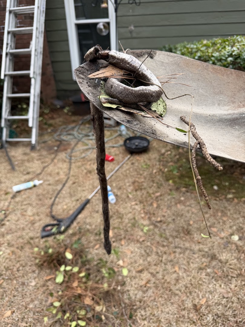Guardian Chimney Sweep Savannah Georgia - Professional chimney cleaning and repair services in Savannah, Georgia