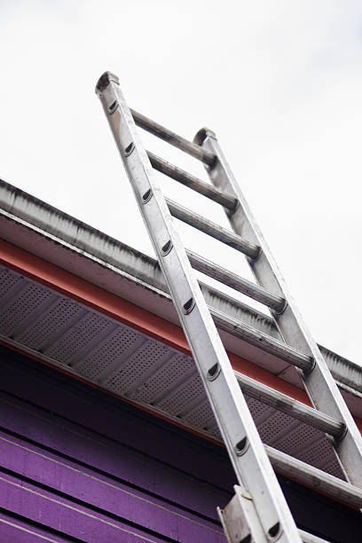 Pietras Chimney & Air Duct Cleaning - Professional chimney cleaning and repair services in Naperville, Illinois