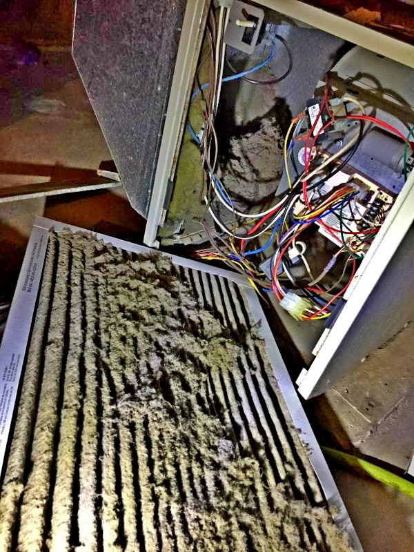 RT's Furnace & Duct Cleaning chimney services work photo 5 - Professional chimney cleaning and repair in Blaine, Minnesota