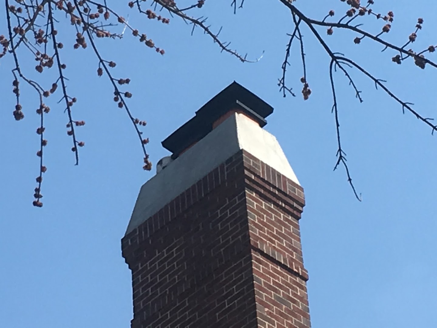 Soots N' Ladders - Professional chimney cleaning and repair services in Geneva, Georgia