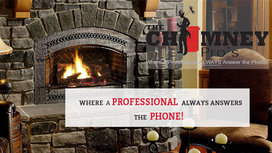 The Chimney Pro's - Professional chimney cleaning and repair services in Hudson, Wisconsin