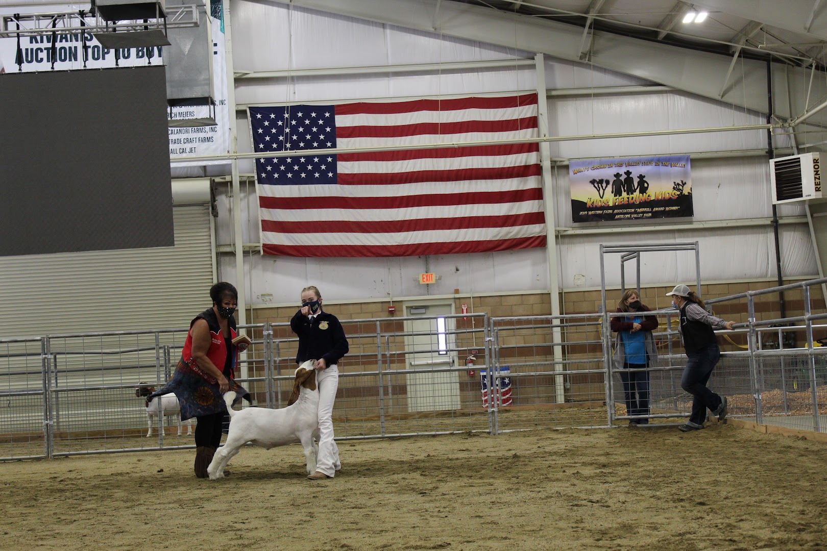 The Chimney Sweep - Professional chimney cleaning and repair services in Rosamond, California