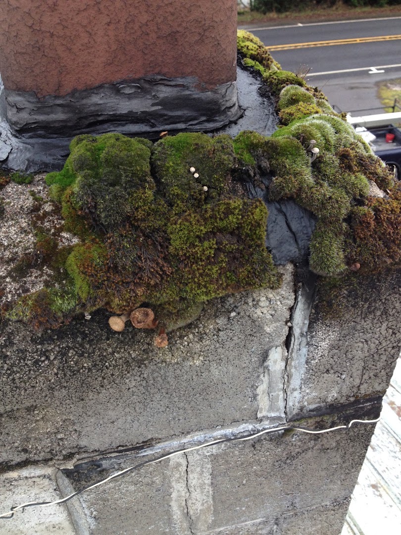 Three Rivers Chimney Services chimney services work photo 5 - Professional chimney cleaning and repair in Rainier, Oregon