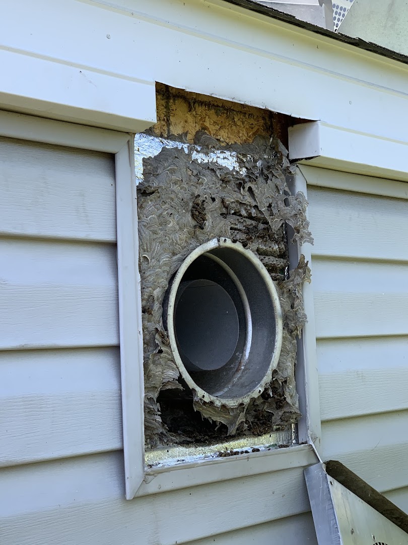 Top Hat & Tails - Professional chimney cleaning and repair services in Lodi, Ohio